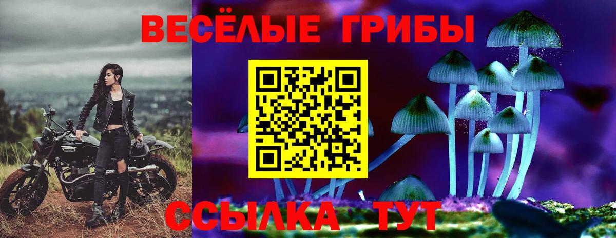 Галлюциногенные грибы ЛСД Георгиевск